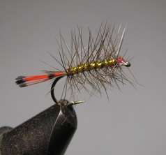 ���� ������  PLM 02 pheasant tail  # 12